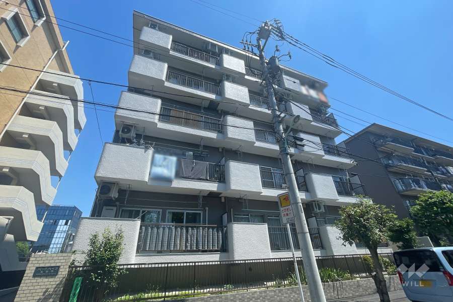 パークハイツ高島平の外観（南東側から）