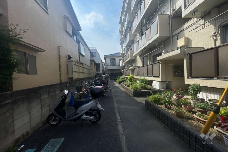 敷地南側の前面道路（東側から）
