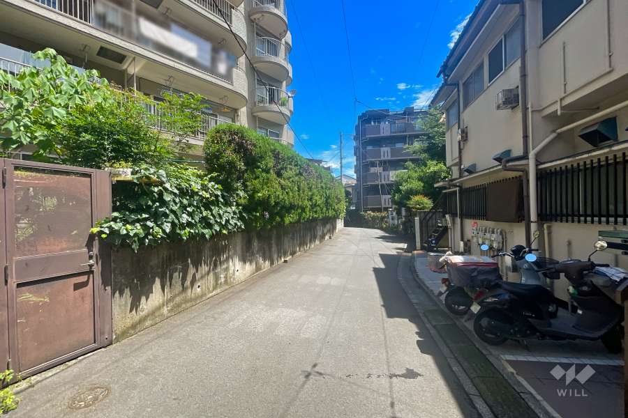 敷地南東側の前面道路（西側から）