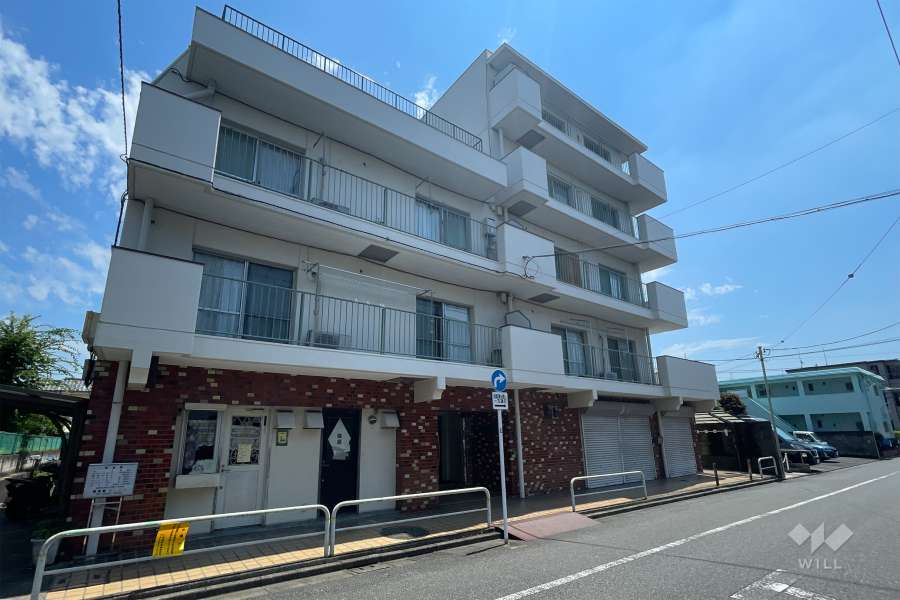 集成パーソナルハイツ志村の外観（西北側から）