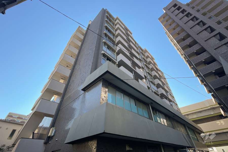 中丸町住宅の外観（南西側から）