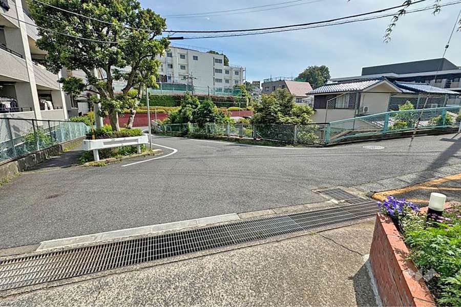 敷地南側の前面道路（北側から）