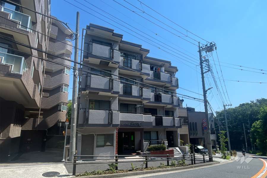 セザール赤塚公園の外観（南西側から）