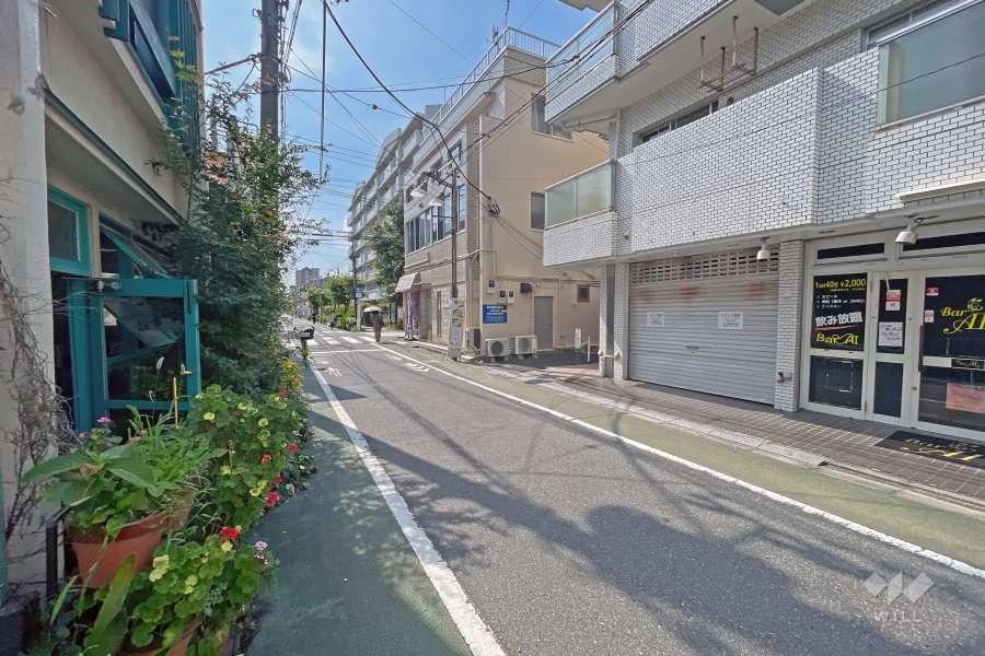 敷地の南側前面道路（東側から）