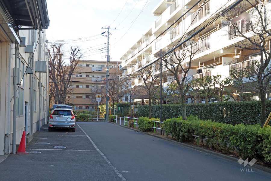 敷地南側の前面道路（東側から）