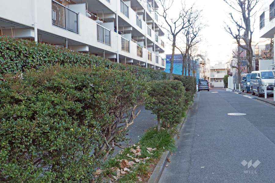 敷地東側の前面道路（南側から）