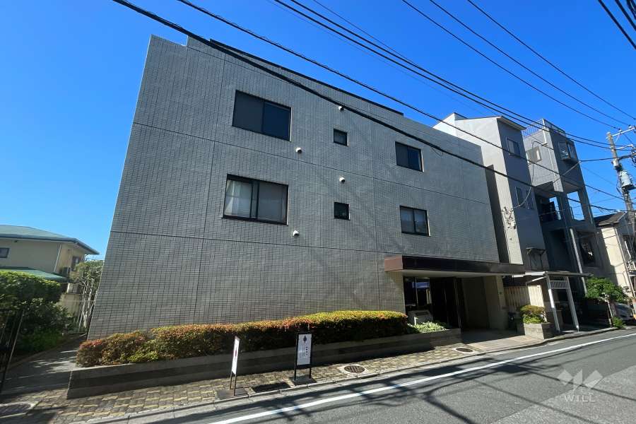 シティハイツ大山の外観（北東側から）
