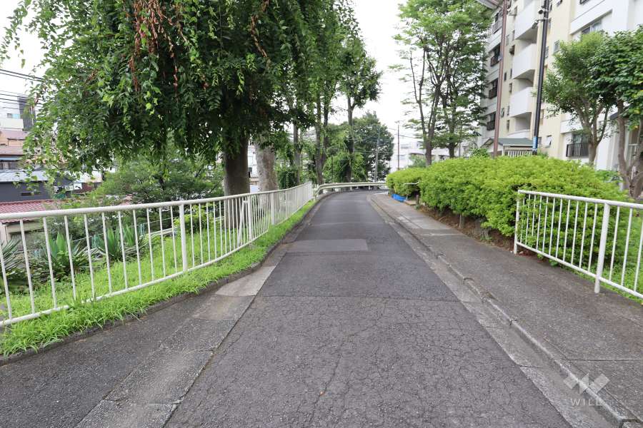 敷地北側の前面道路（東側から）