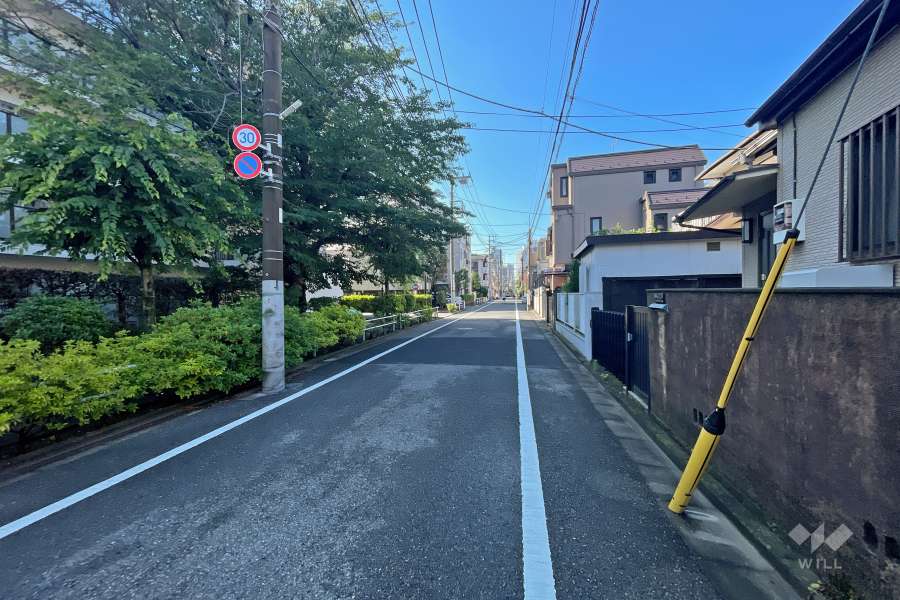 敷地西側の前面道路（北側から）