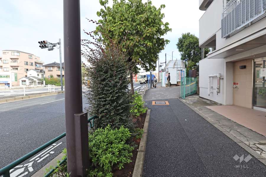 敷地北側の前面道路（西側から）