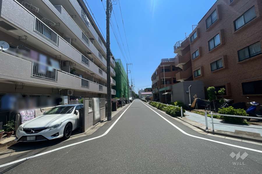 敷地南側の前面道路（西側から）