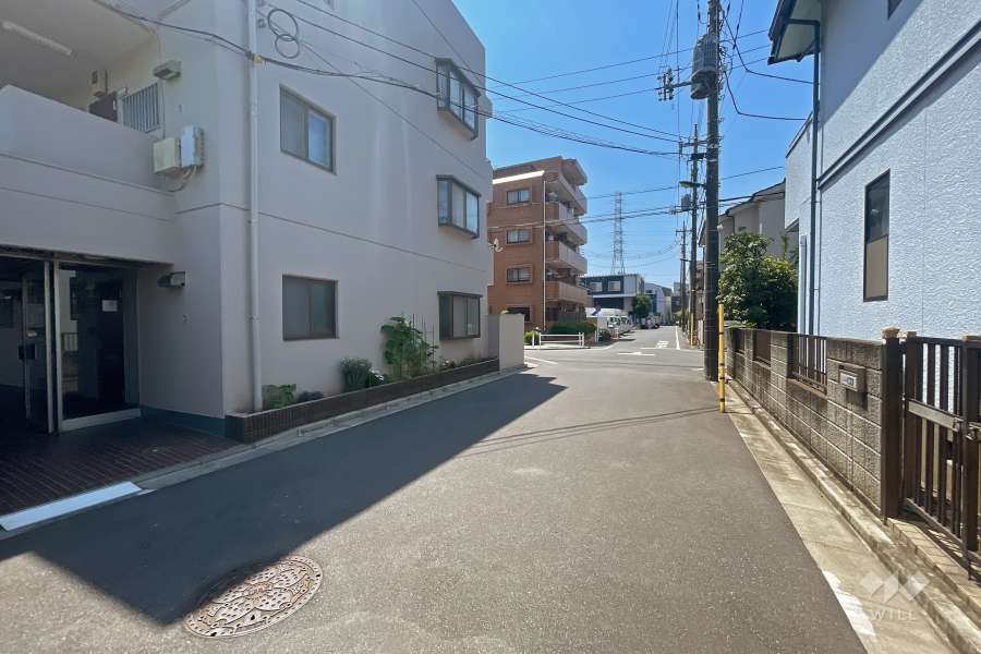 敷地西側の前面道路（北側から）