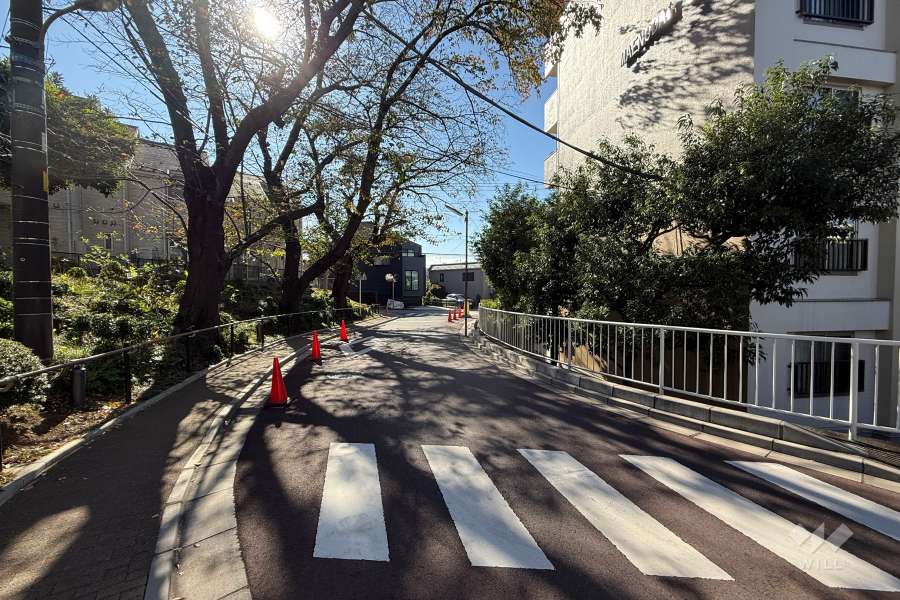 敷地の南東側前面道路（北東側から）