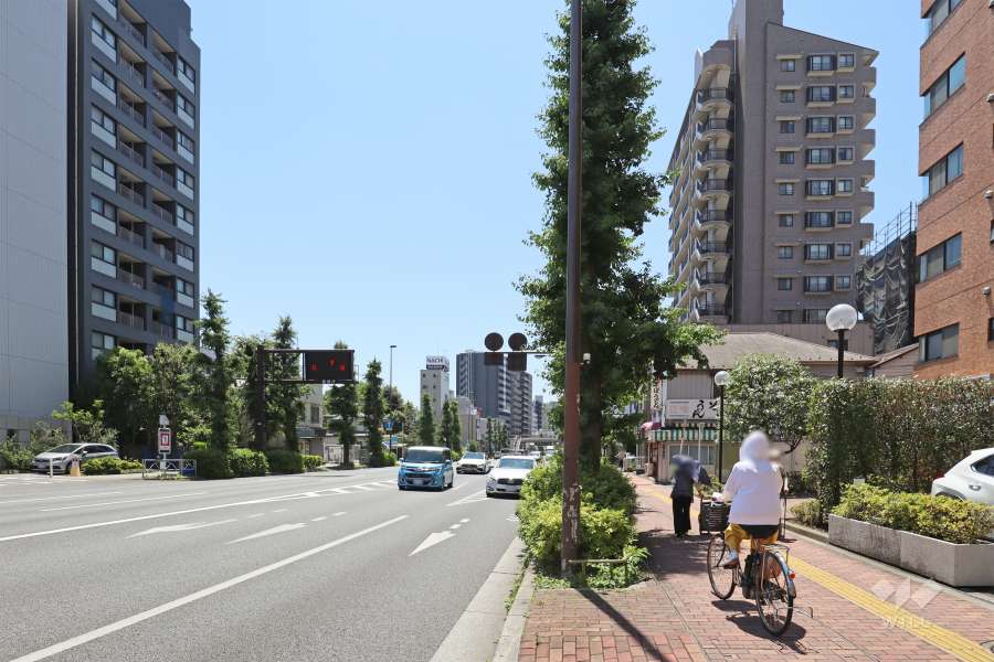 敷地の北東側前面道路（北西側から）