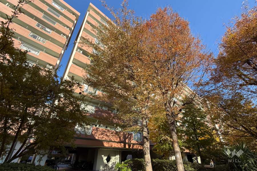 高島平団地第３分譲住宅７号棟の外観（南西側から）