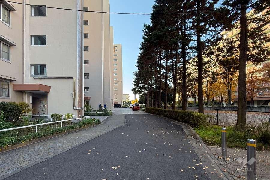 敷地の北側前面道路（東側から）