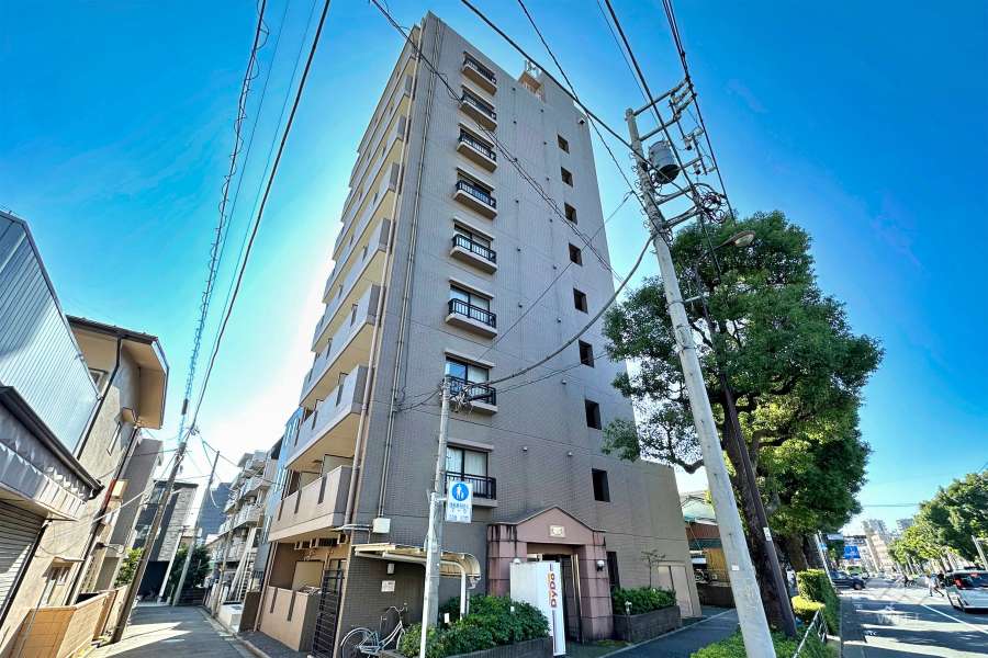 ロイヤルアメニティー中板橋の外観（北東側から）