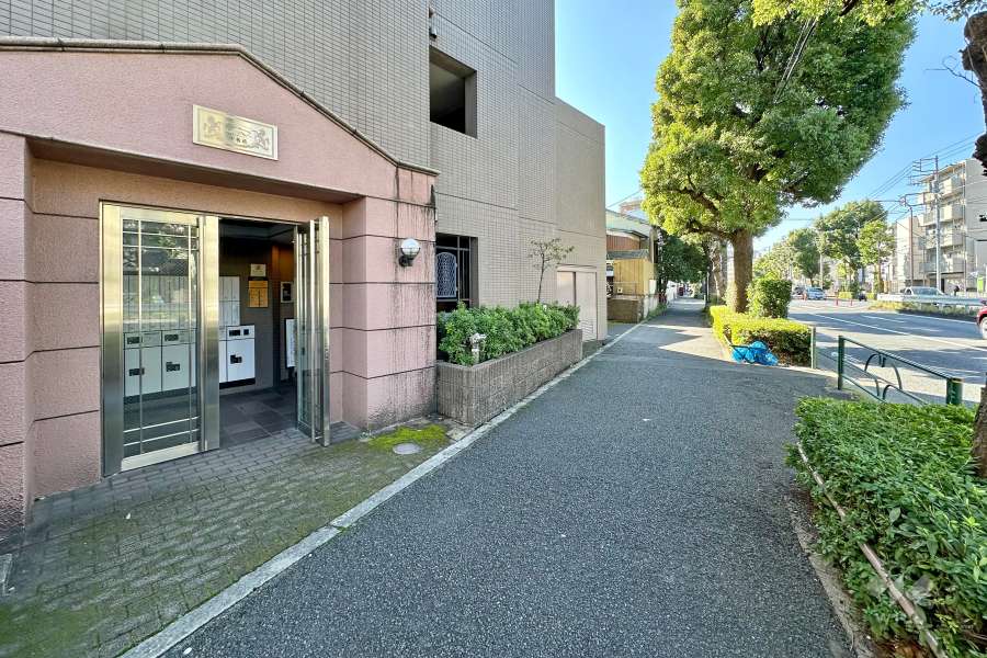 敷地北側の前面道路