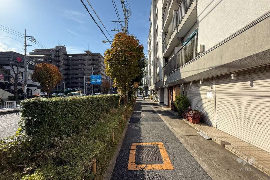 敷地南側の前面道路（東側から）