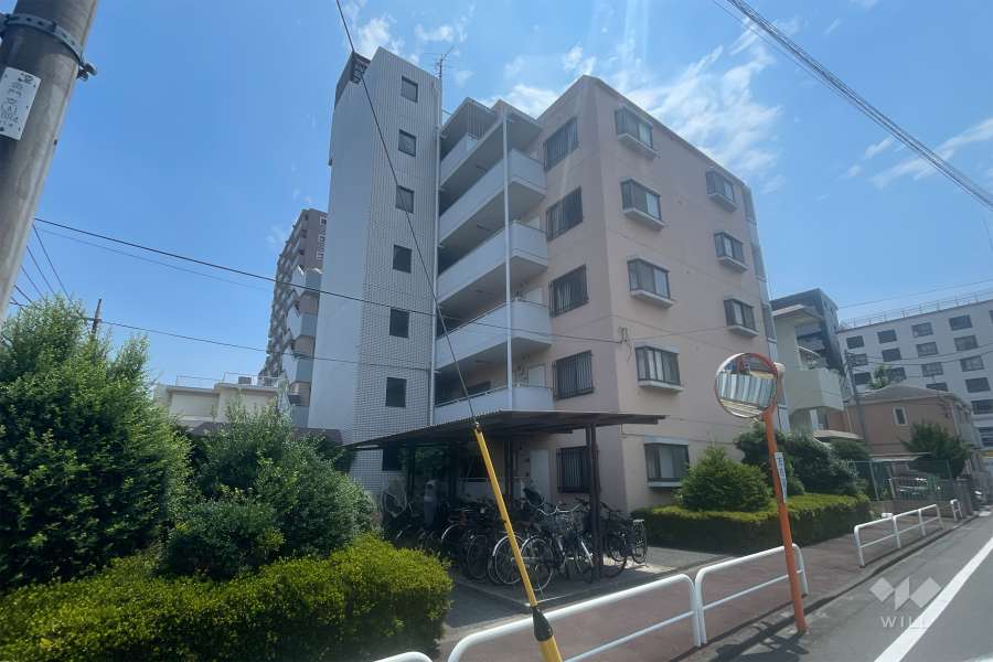 小豆沢ハイツの外観（北側から）