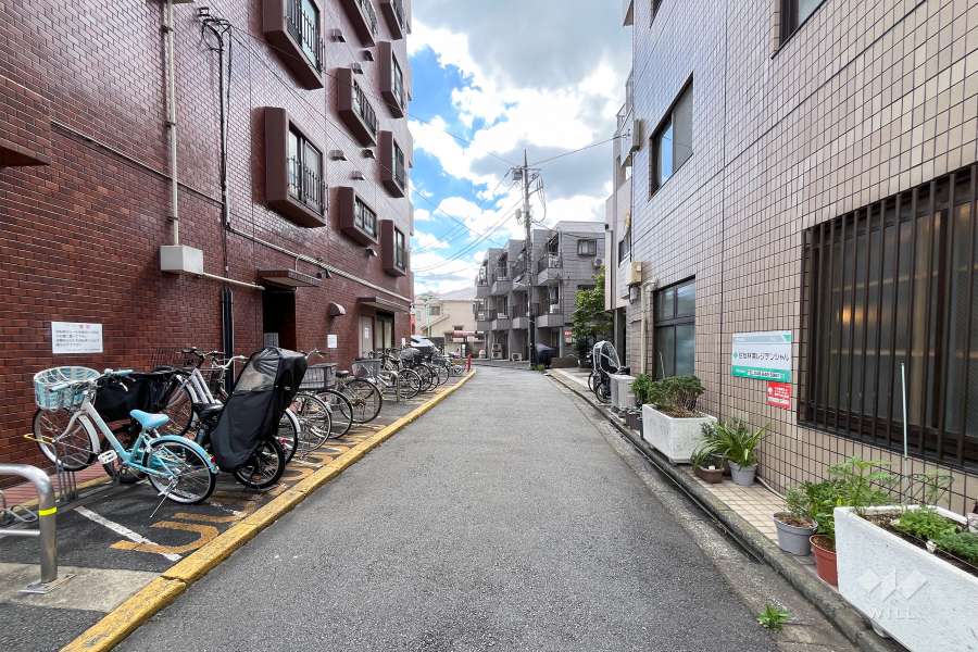 敷地西側の前面道路（北側から）