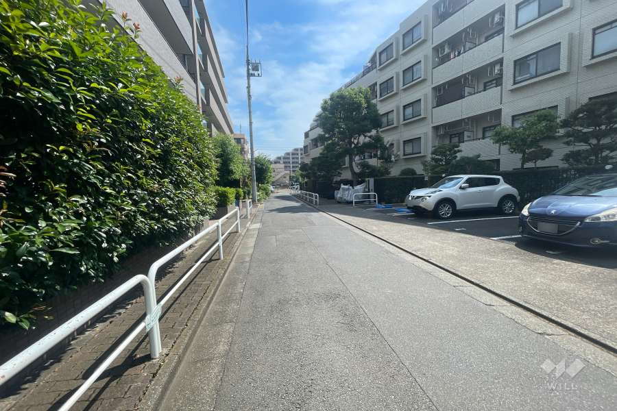 敷地の西側前面道路（南側から）