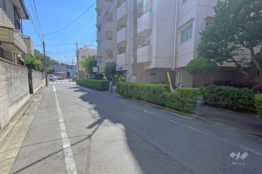 敷地の東側前面道路（北側から）