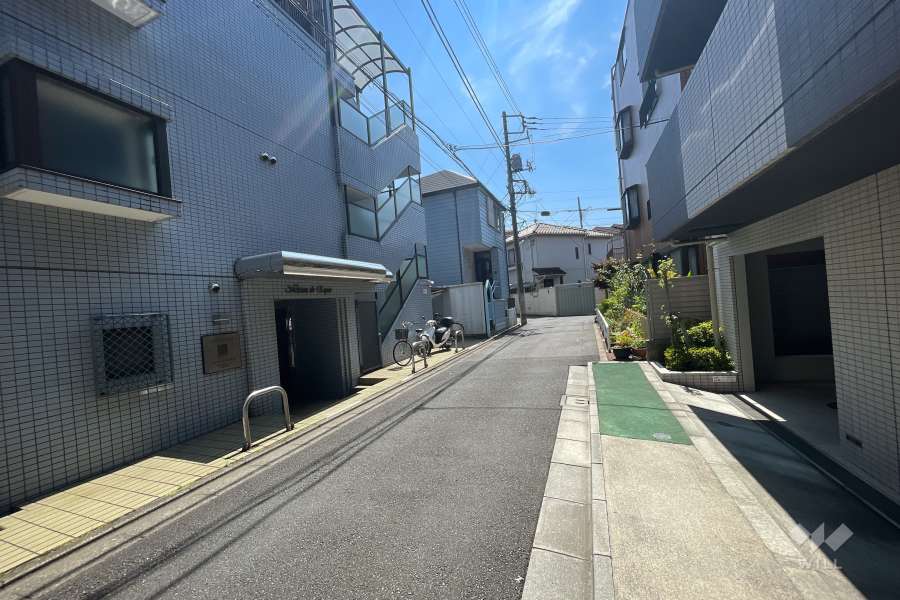 敷地北西側の前面道路（北東側から）