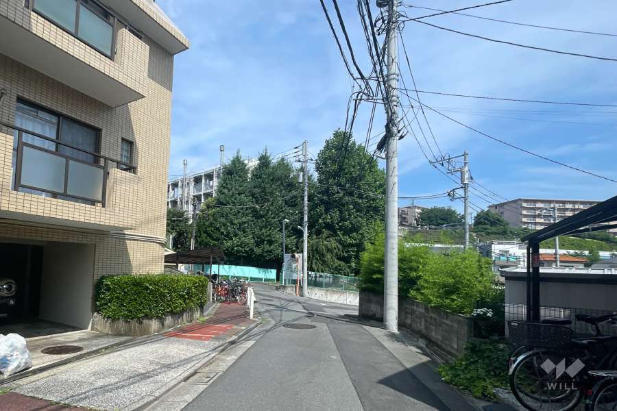 敷地の東側前面道路（南側から）