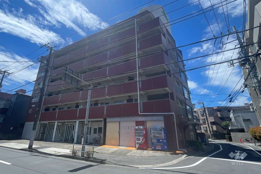 南常盤台サンライズの外観（北側から）　