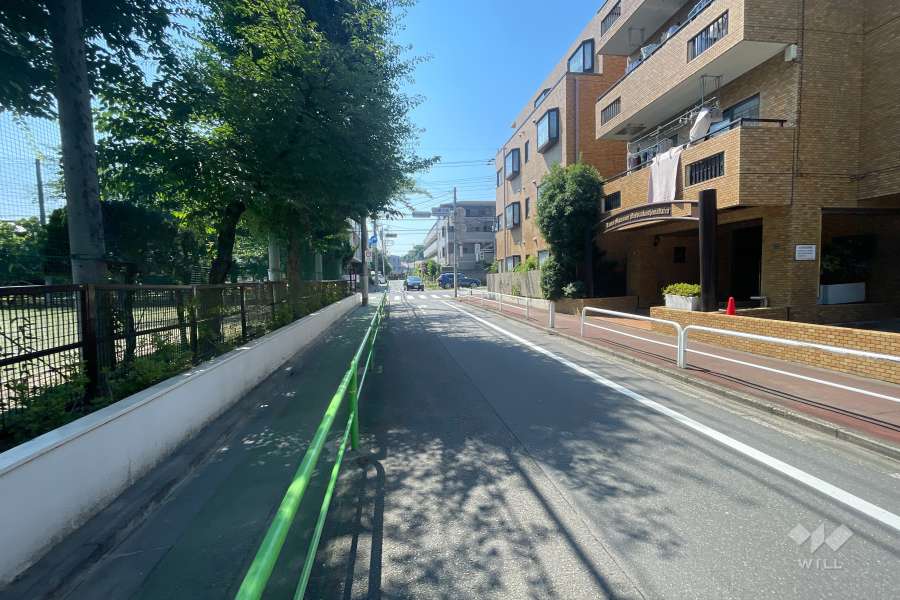 敷地の東側前面道路（北側から）