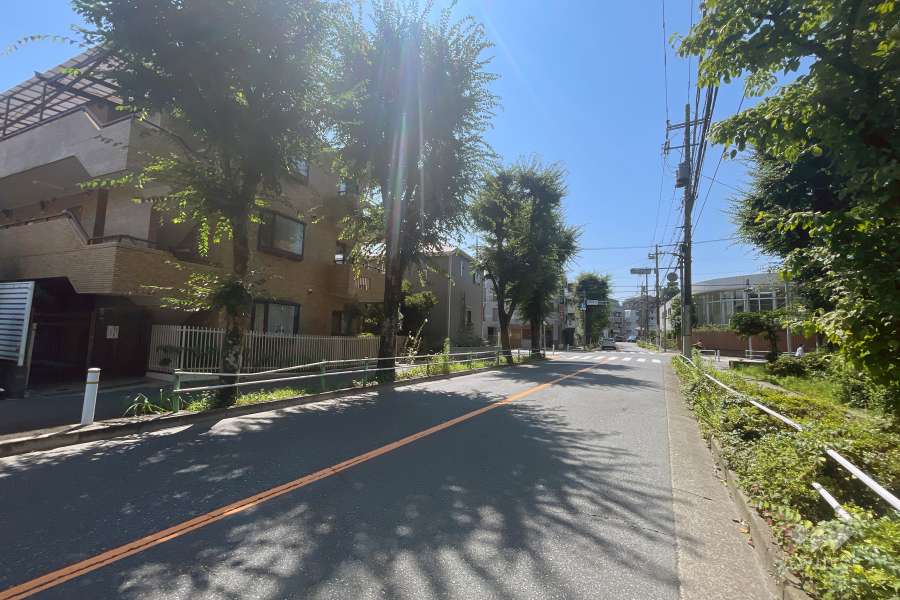 敷地の西側前面道路（北側から）