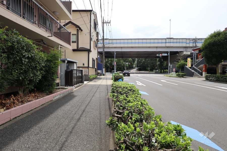 敷地西側の前面道路（北側から）