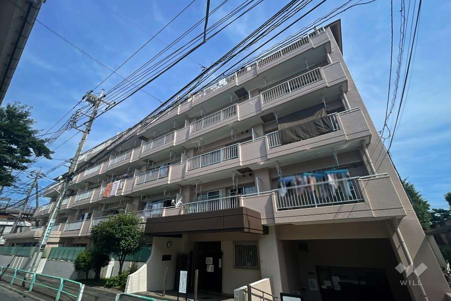 キャスティ上板橋の外観（南東側から）
