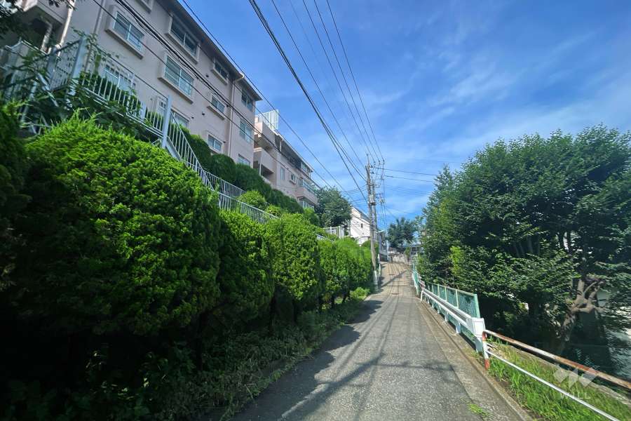 敷地北西側の前面道路（北東側から）