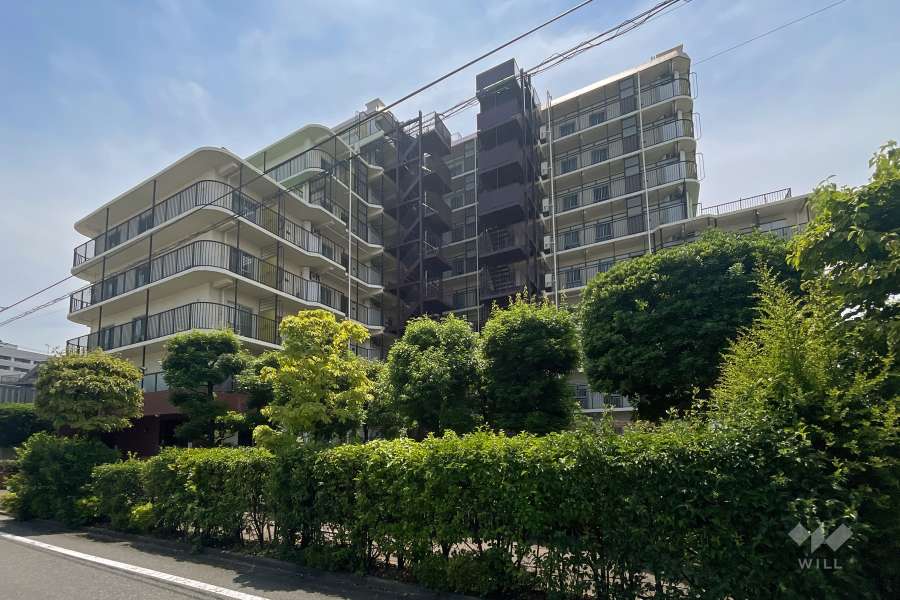 蓮根サンハイツの外観（北西側から）