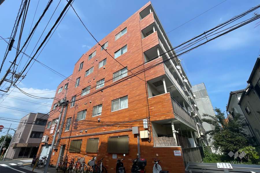 メゾン蓮根の外観（南西側から）