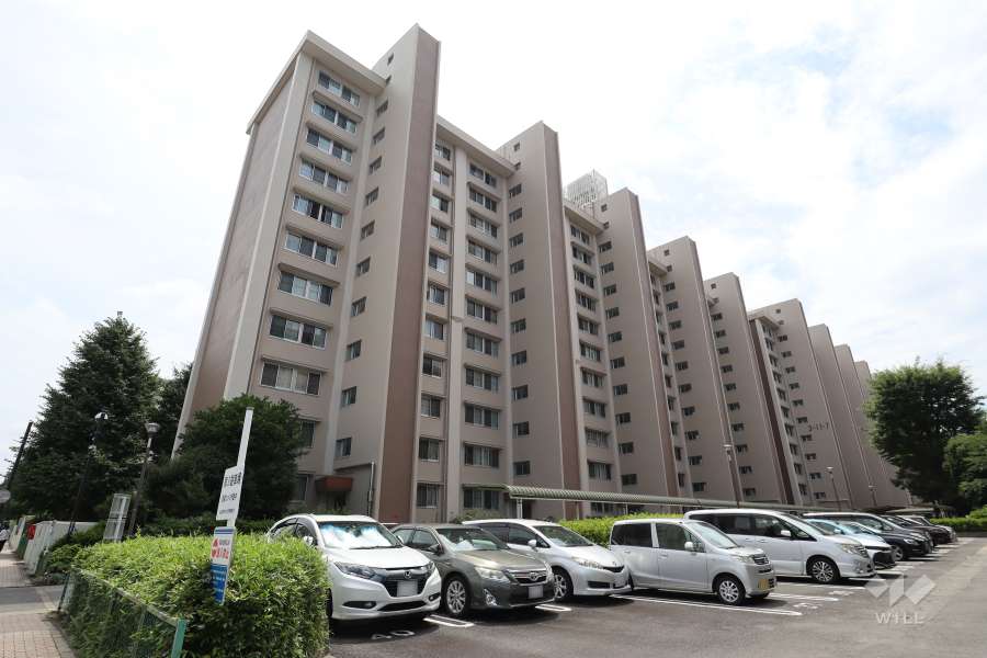 高島平第三住宅（板橋区高島平3-11-8）の外観（北東側から）