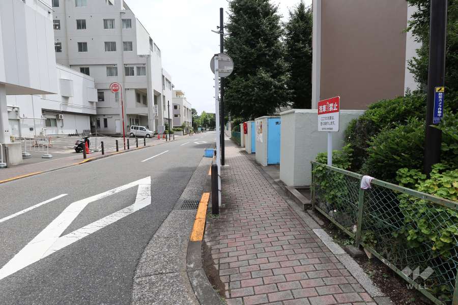 敷地東側の前面道路（北側から）