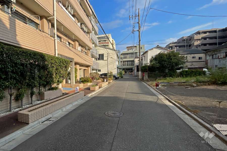 敷地南西側の前面道路（北西側から）