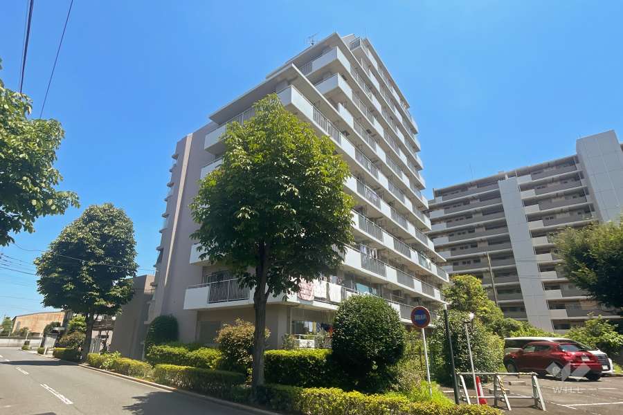 ルイシャトレ高島平の外観（南西側から）