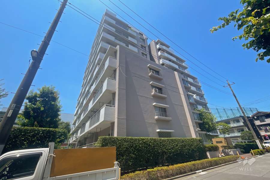 ルイシャトレ高島平の外観（南東側から）