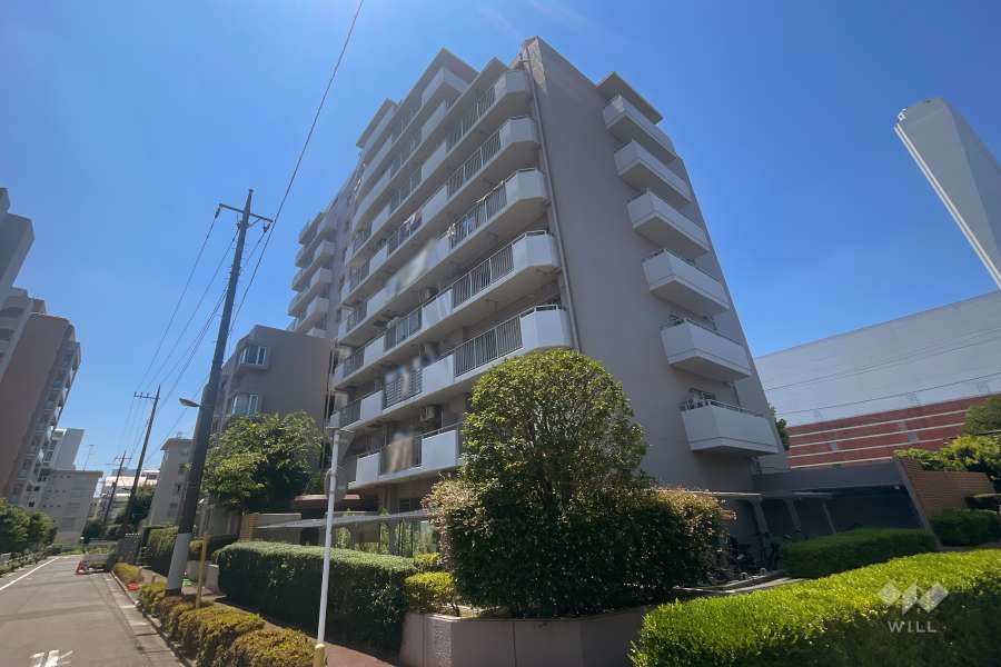 ルイシャトレ高島平の外観（北東側から）