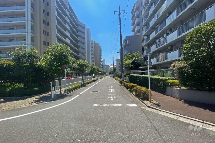 敷地東側前面道路（北側から）