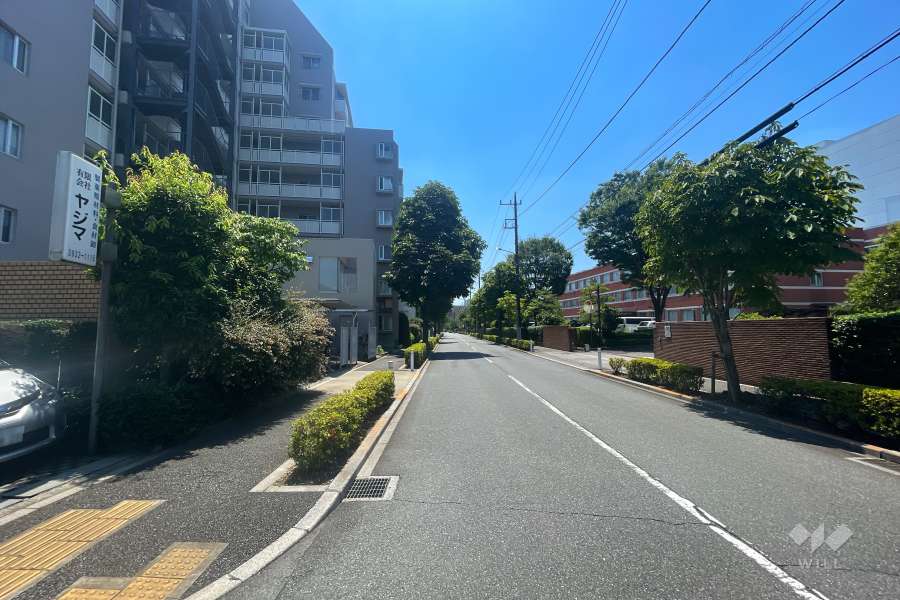 敷地西側の前面道路（北側から）