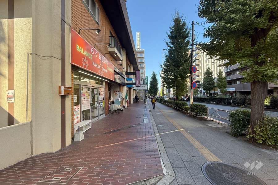 敷地北東側の前面道路（南東側から）