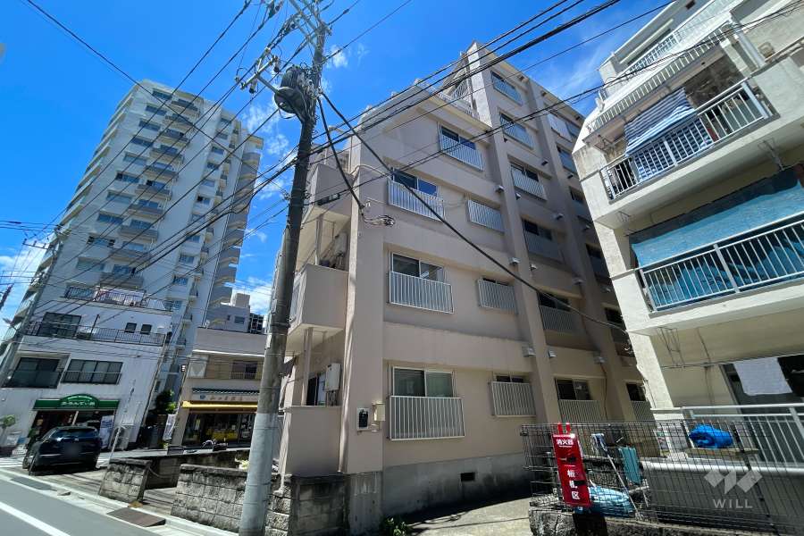 大山マイコーポＡ棟の外観（南東側から）