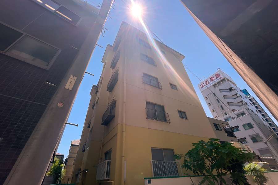 サンハイツ金井町の外観（北西側から）