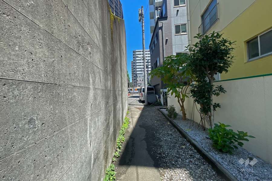 敷地西側の前面道路（南側から）
