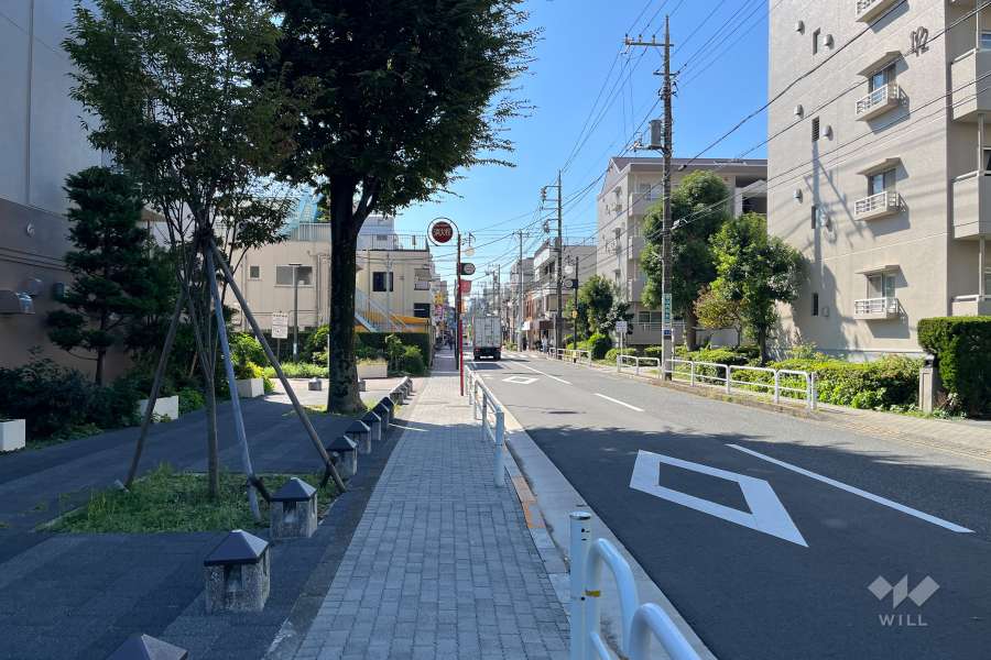 敷地の西側前面道路（北側から）